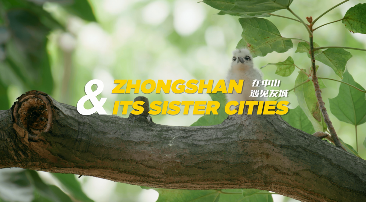 ZHONGSHAN & ITS SISTER CITIES SERIES